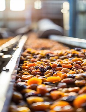 Food Processing