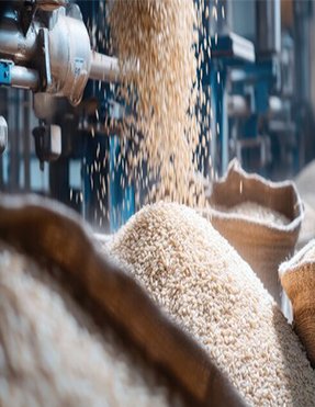 Rice Mills