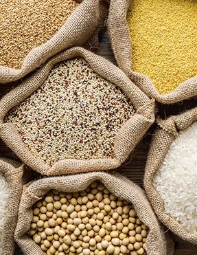 Lentils and Pulses